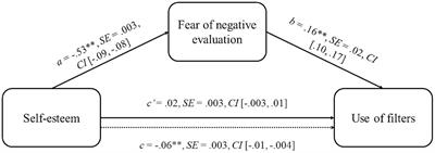 Unraveling the impact of self-esteem on the utilization of Instagram filters: the mediating role of fear of negative evaluation